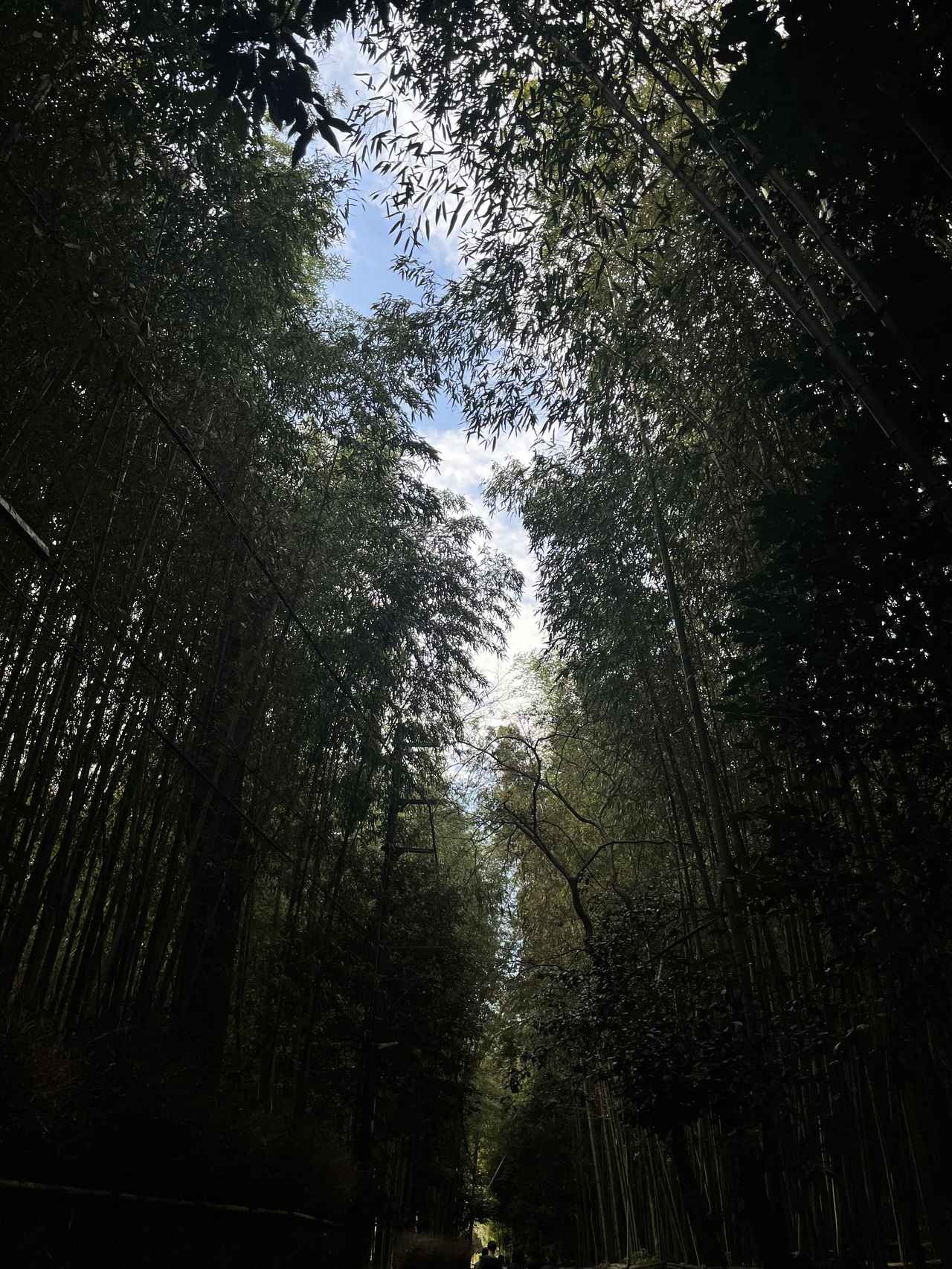 画像2: