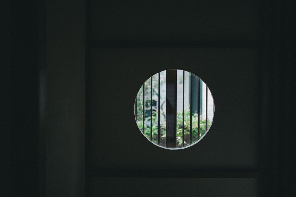 エンソウ／画像提供：日東電化工業