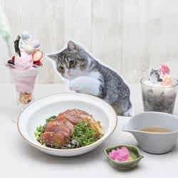 もちまるカフェ in SHIBUYA/提供画像