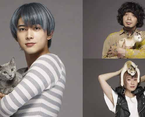 吉沢亮が“ロシアンブルーの擬人化”で沢尻エリカの相手役 「猫は抱くもの」峯田和伸、コムアイら異色共演