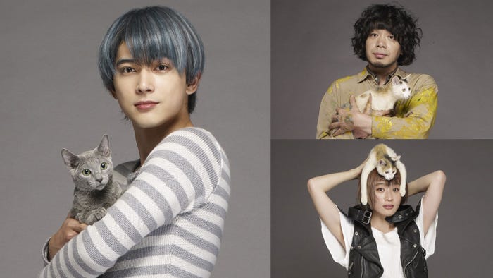 吉沢亮が ロシアンブルーの擬人化 で沢尻エリカの相手役 猫は抱くもの 峯田和伸 コムアイら異色共演 モデルプレス 吉沢亮が ロシアンブルーの擬人化 で沢尻エリカの相手役 猫は抱くもの 峯田和伸 コムアイら異色共演 モデルプレス