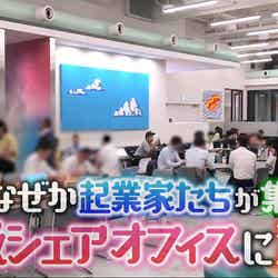 「マツコ会議」29日放送回より（C）日本テレビ