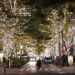 「丸の内イルミネーション2018」Xmasシーズンに映える100万球の華やかな輝き
