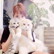 美女とペット 鈴木えみの愛猫 ダニョ の可愛さがとまらない 真っ白ふわふわボディにキュン モデルプレス 美女とペット 鈴木えみの愛猫 ダニョ の可愛さがとまらない 真っ白ふわふわボディにキュン モデルプレス