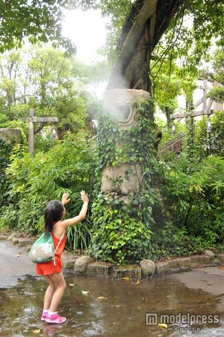 「インディ・ージョーンズR・アドベンチャー：クリスタルスカルの魔宮」付近のクールスポット（TDS)／（C）Disney