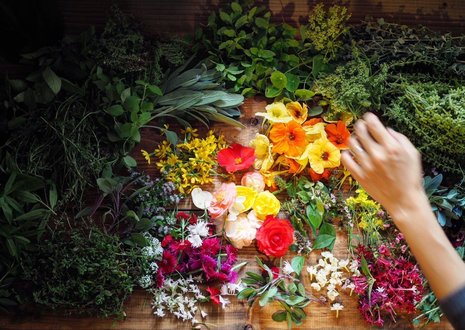 ハーブとエディブルフラワー（提供写真）