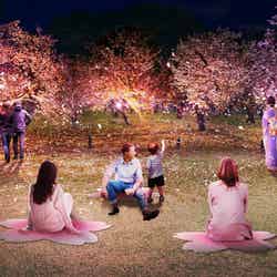 【桜の園】桜ナイトピクニックエリア/提供画像