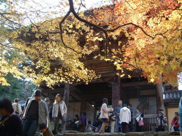 長い石段を登りきった先、紅葉・黄葉が彩る楼門（2004年11月21日撮影）