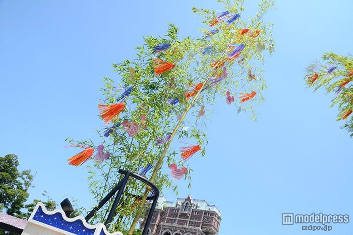 ディズニーシー