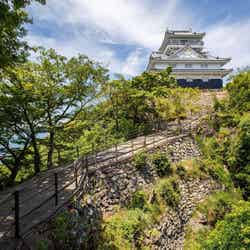山頂から町並みを見下ろす岐阜城/提供画像