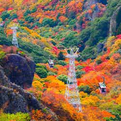 【2025年】四国で人気の紅葉スポットランキング! 2位「寒霞渓」、1位は?【専門家の解説も】