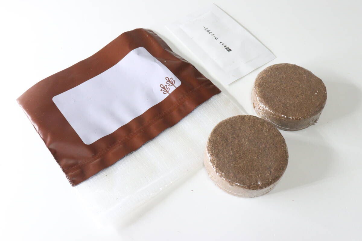 ダイソー　栽培セット