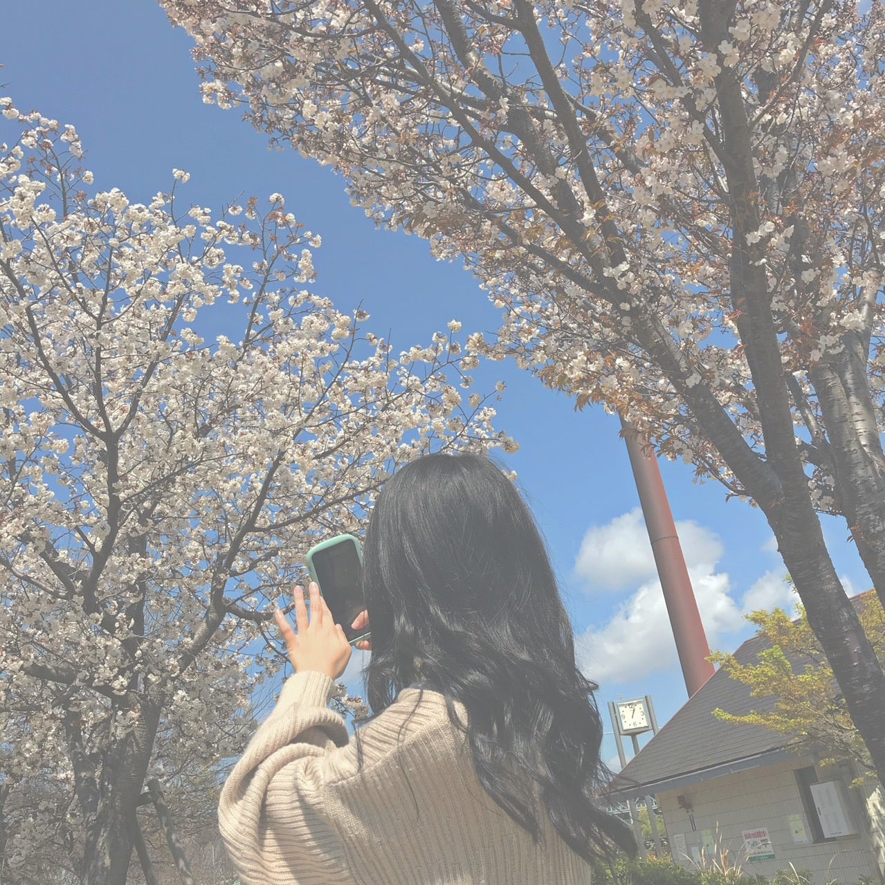 松島かのん「愛用のカメラとSNSの取り組み！」（提供写真）