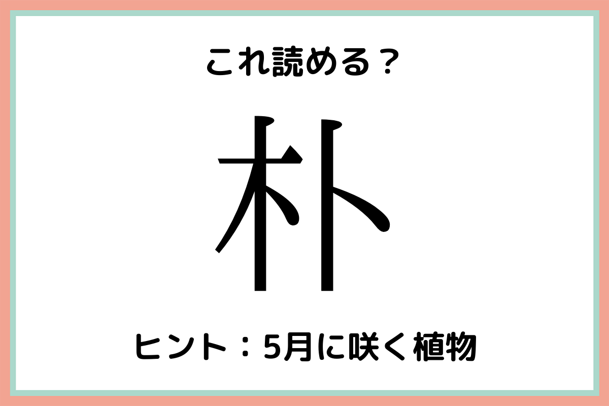 朴って何て読む 読めたらすごい 木へんの難読漢字 4選 モデルプレス