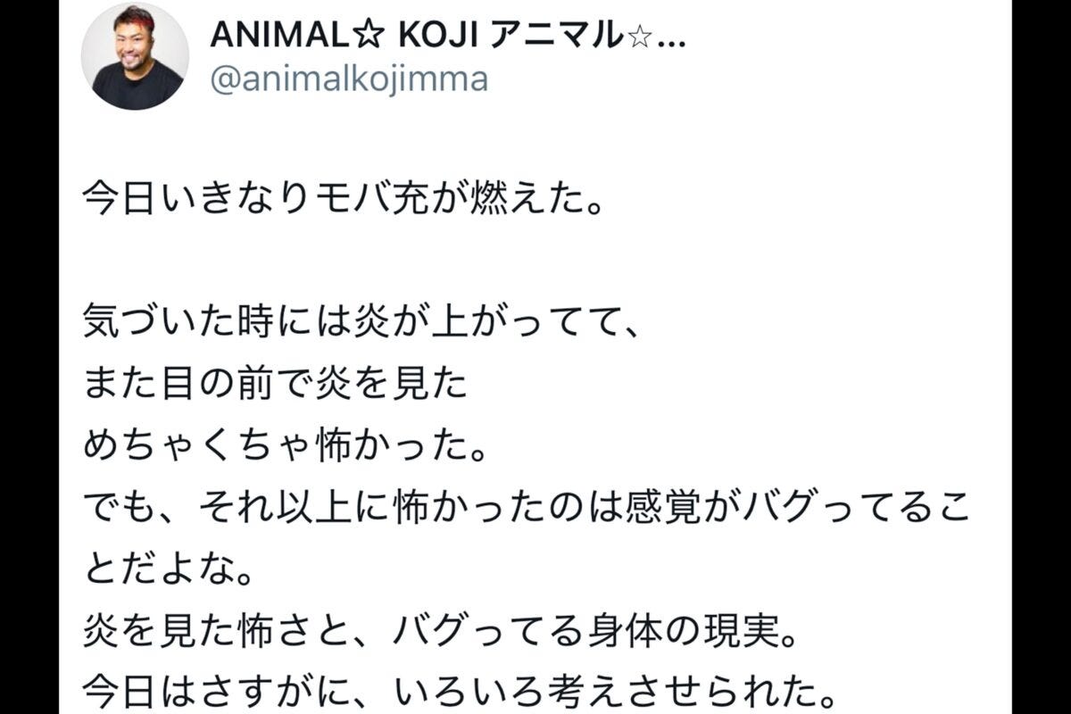 ANIMAL☆
