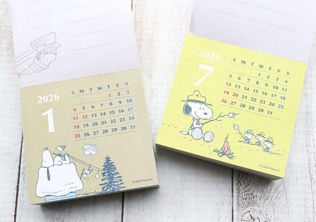 2冊 大人のおしゃれ手帖スヌーピー日めくりカレンダー2冊