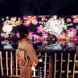 【内堀】DANDELION PROJECT with 京都の子どもたち/プロジェクションマッピングショー『桜花爛漫』(交互に上映)/提供画像