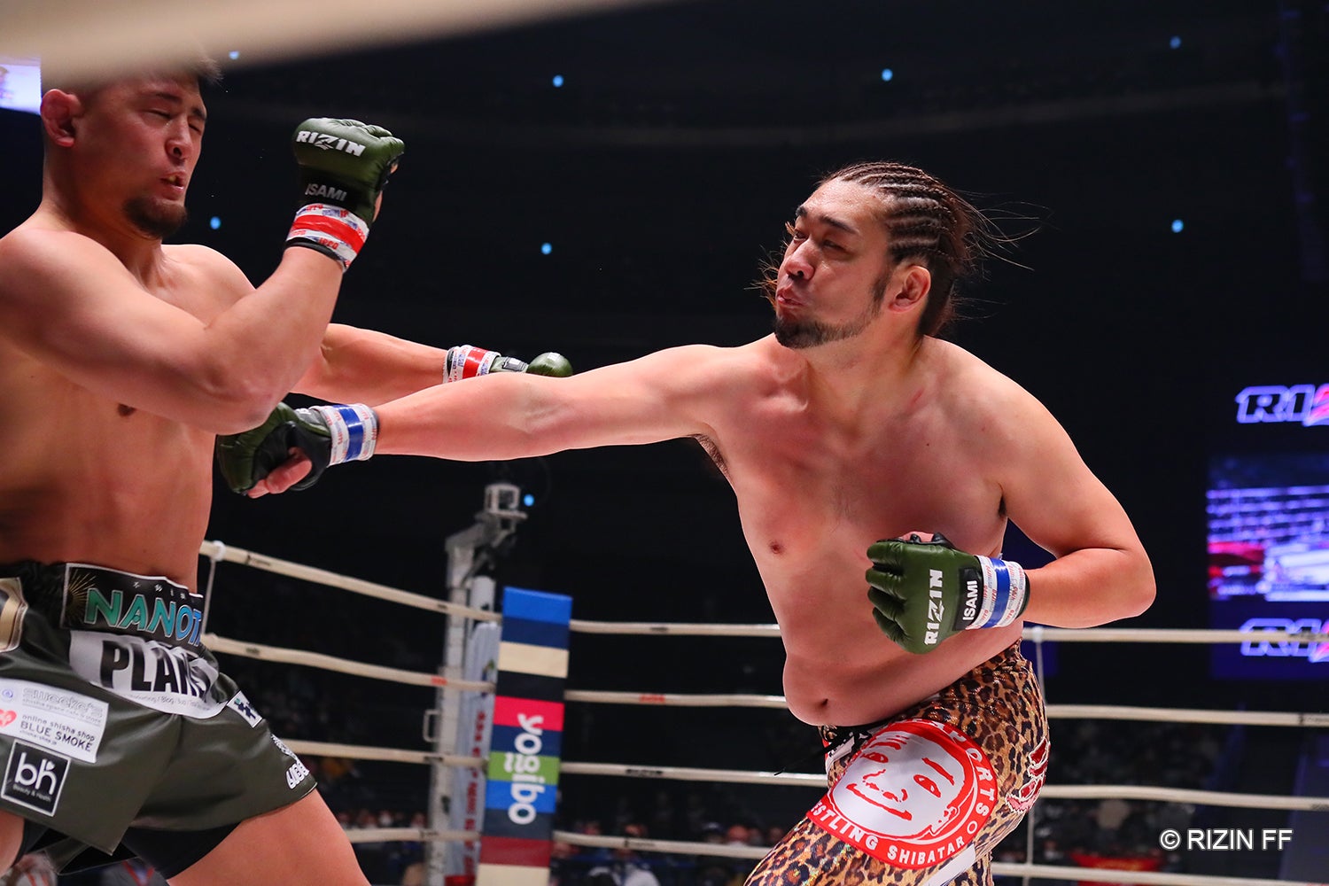 シバターVSHIROYA（C）RIZIN FF