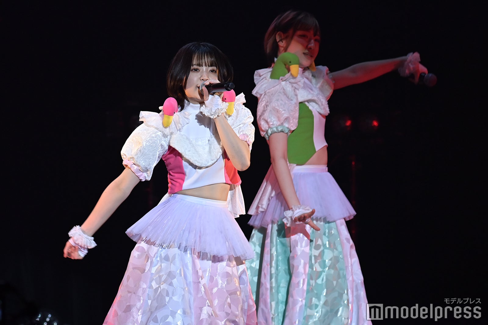 豆柴の大群（C）モデルプレス