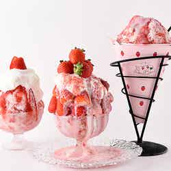 夏のいちごを味わう「いちごおり」/画像提供:株式会社村の駅