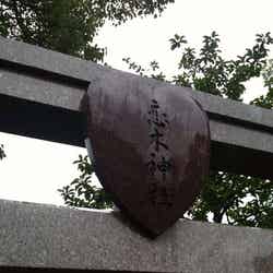 恋木神社の鳥居(C)モデルプレス