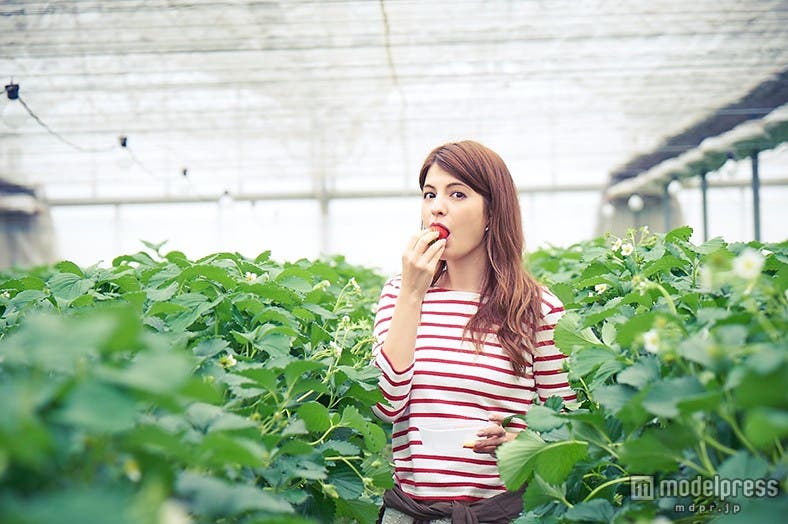 新鮮ないちごをたっぷり堪能