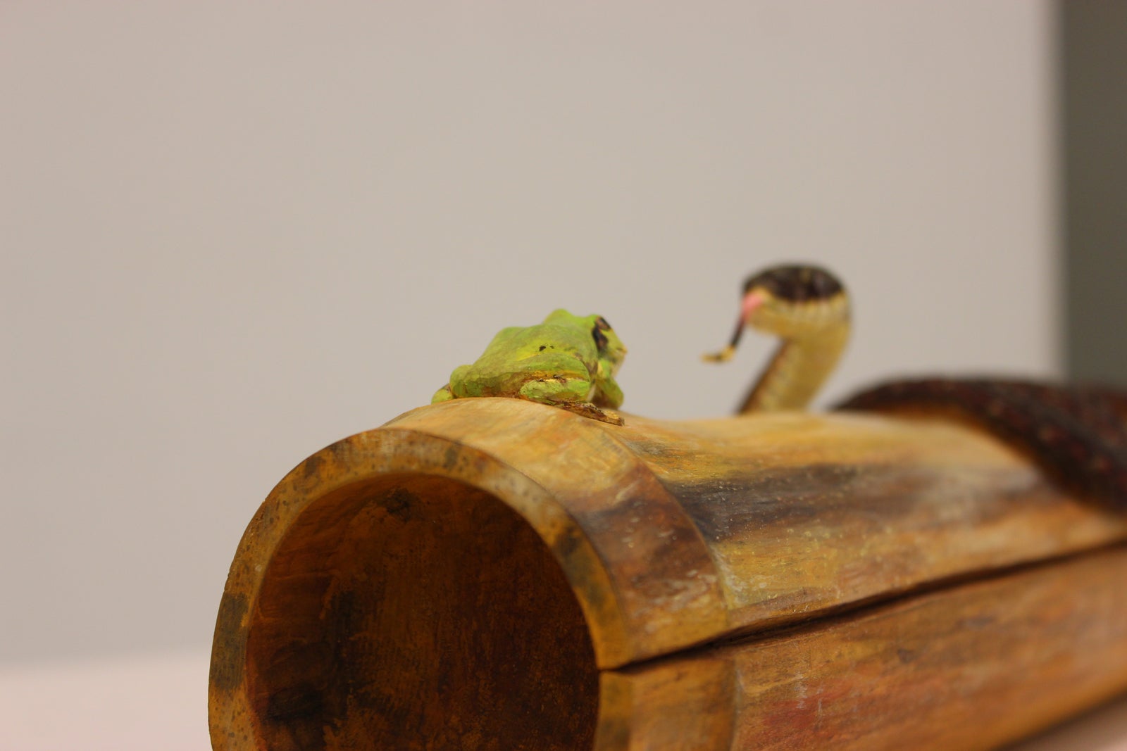 秋川雅史「木彫蛙と蛇」（提供写真）