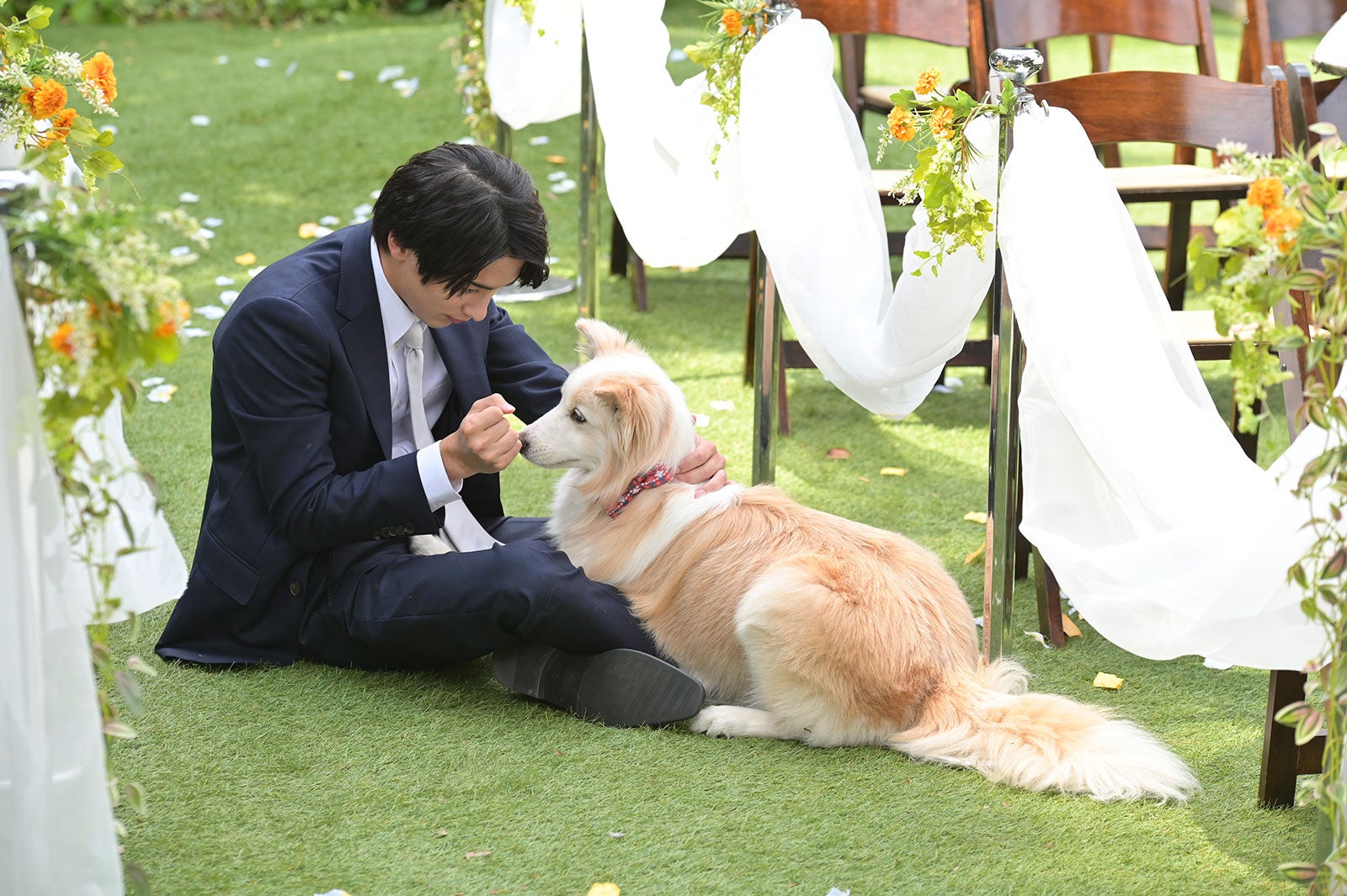 横浜流星  「着飾る恋には理由があって」最終話より（C）TBS