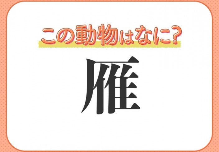 雁 はなんて読む 秋の季語でもある鳥の名前 モデルプレス