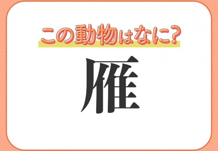 雁 はなんて読む 秋の季語でもある鳥の名前 モデルプレス 雁 はなんて読む 秋の季語でもある鳥の名前 モデルプレス