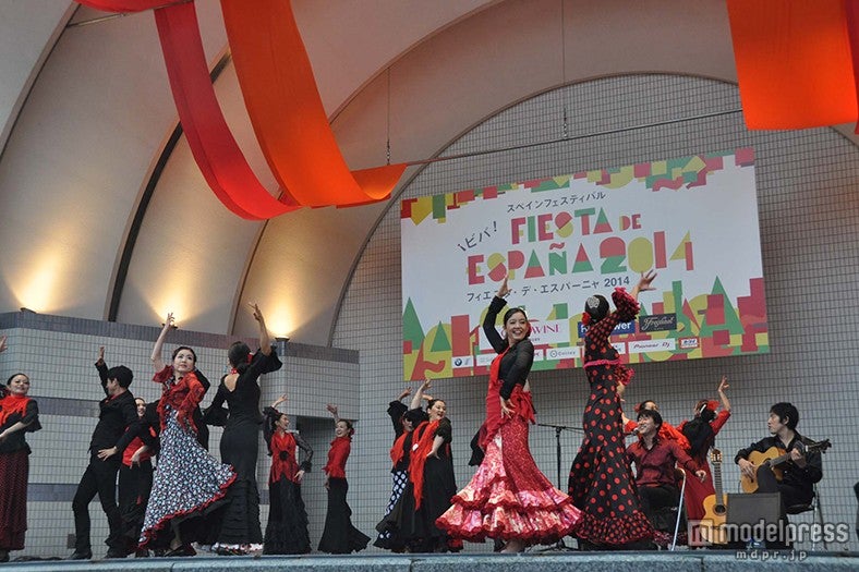 フラメンコ／画像提供：フィエスタ・デ・エスパーニャ2015実行委員会