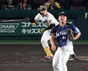【解説】阪神・嶋村 素晴らしい技術力と準備力 今後も大いに期待したい