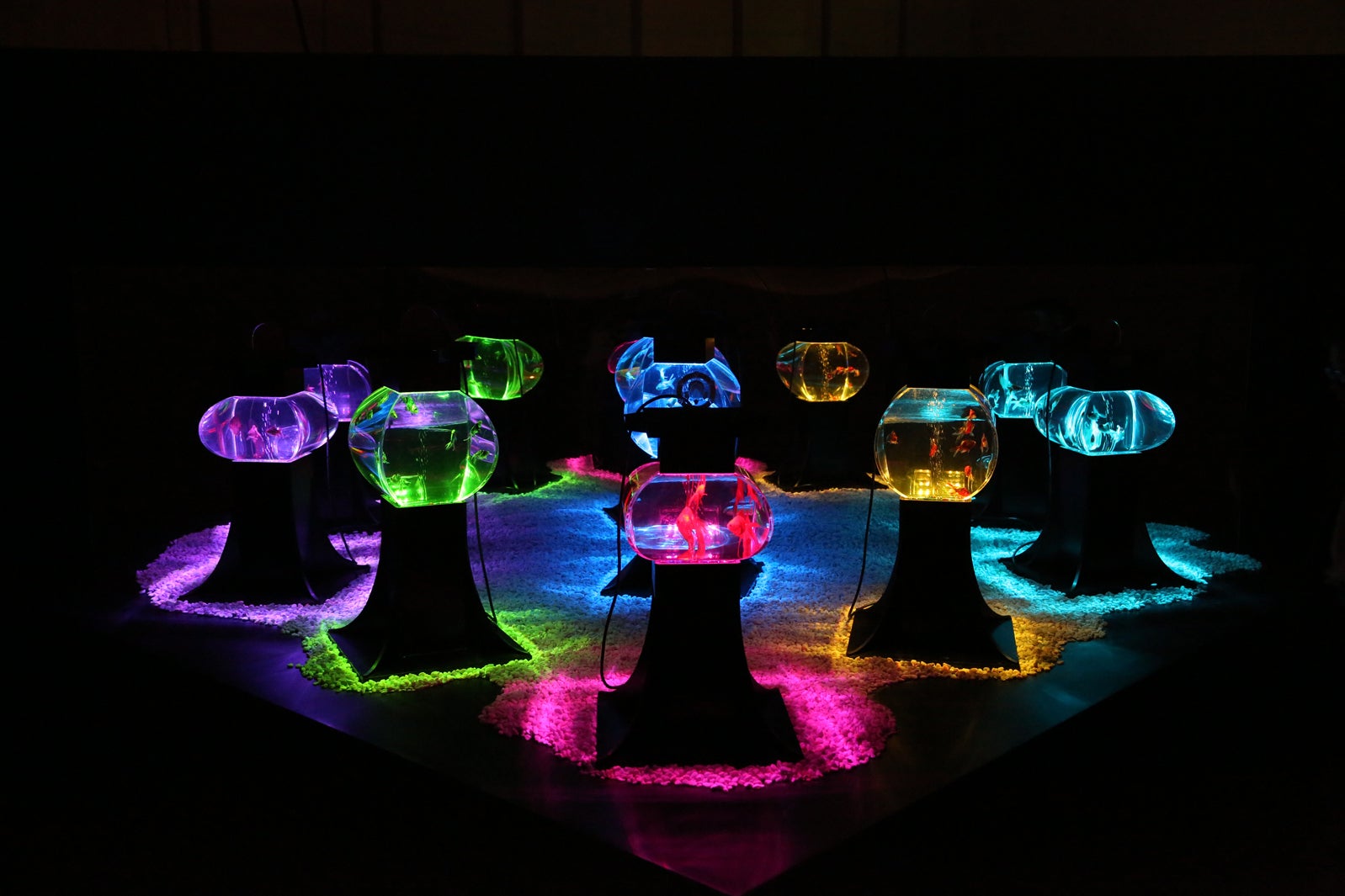 ボンボリウム／画像提供：アートアクアリウム実行委員会