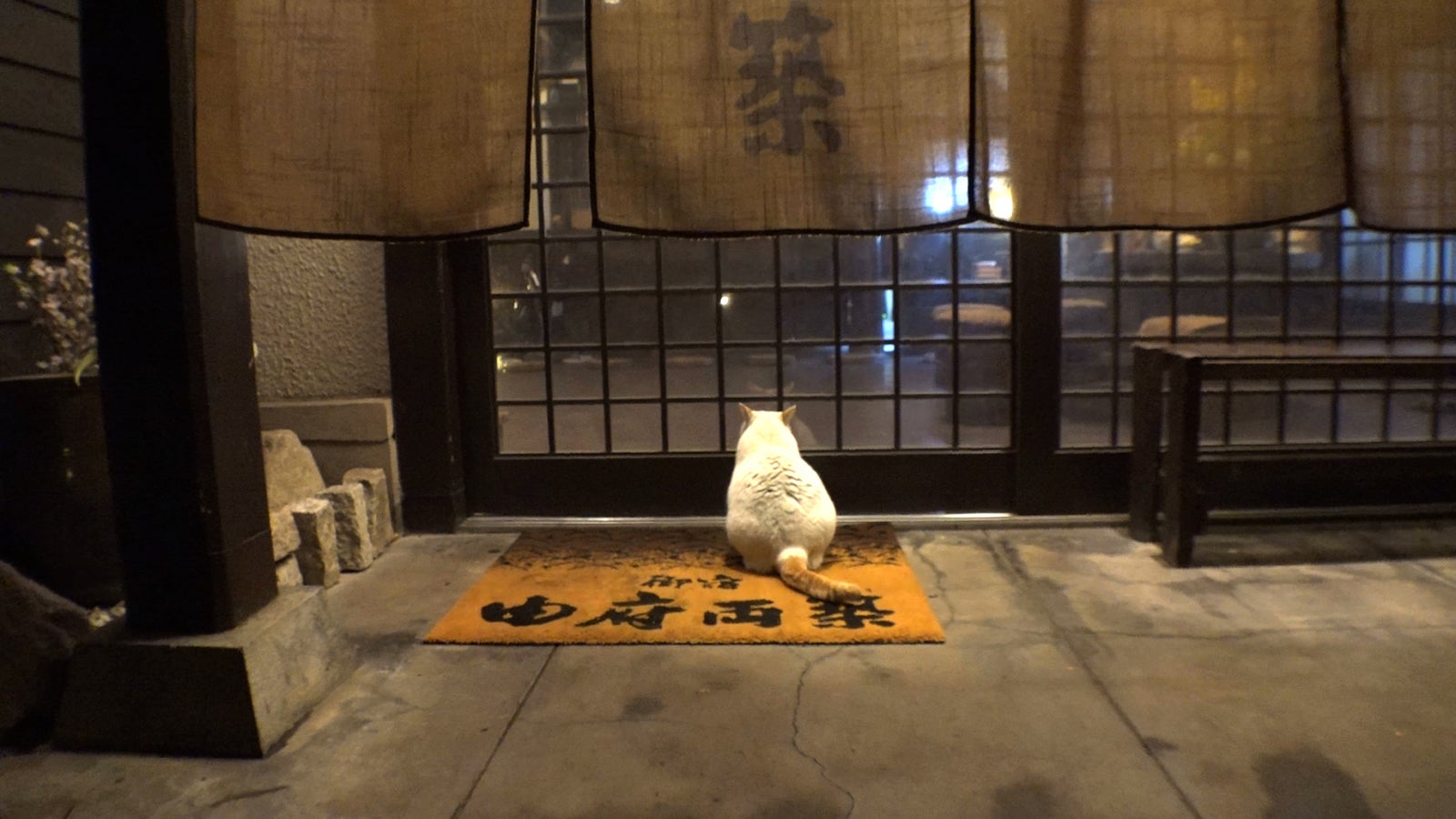 12日放送の「セブンルール」（写真提供：カンテレ）