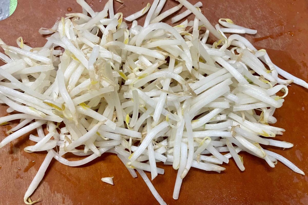 焼きもやし