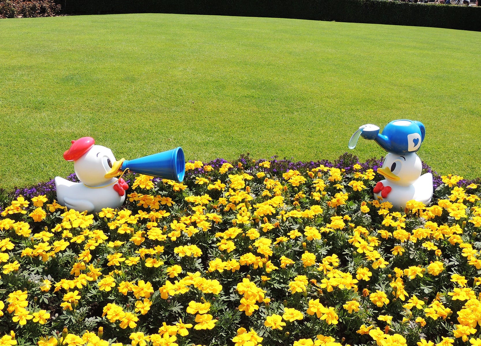 右のクワッキーダックはジョウロで花に水をあげているのでしょうか？