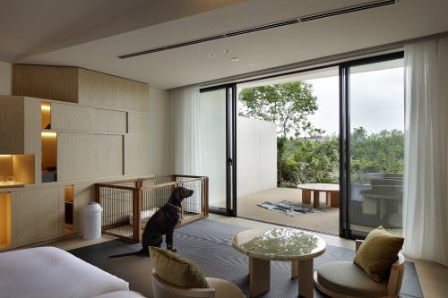 客室（ドッグフレンドリー)／画像提供：立飛ホスピタリティマネジメント