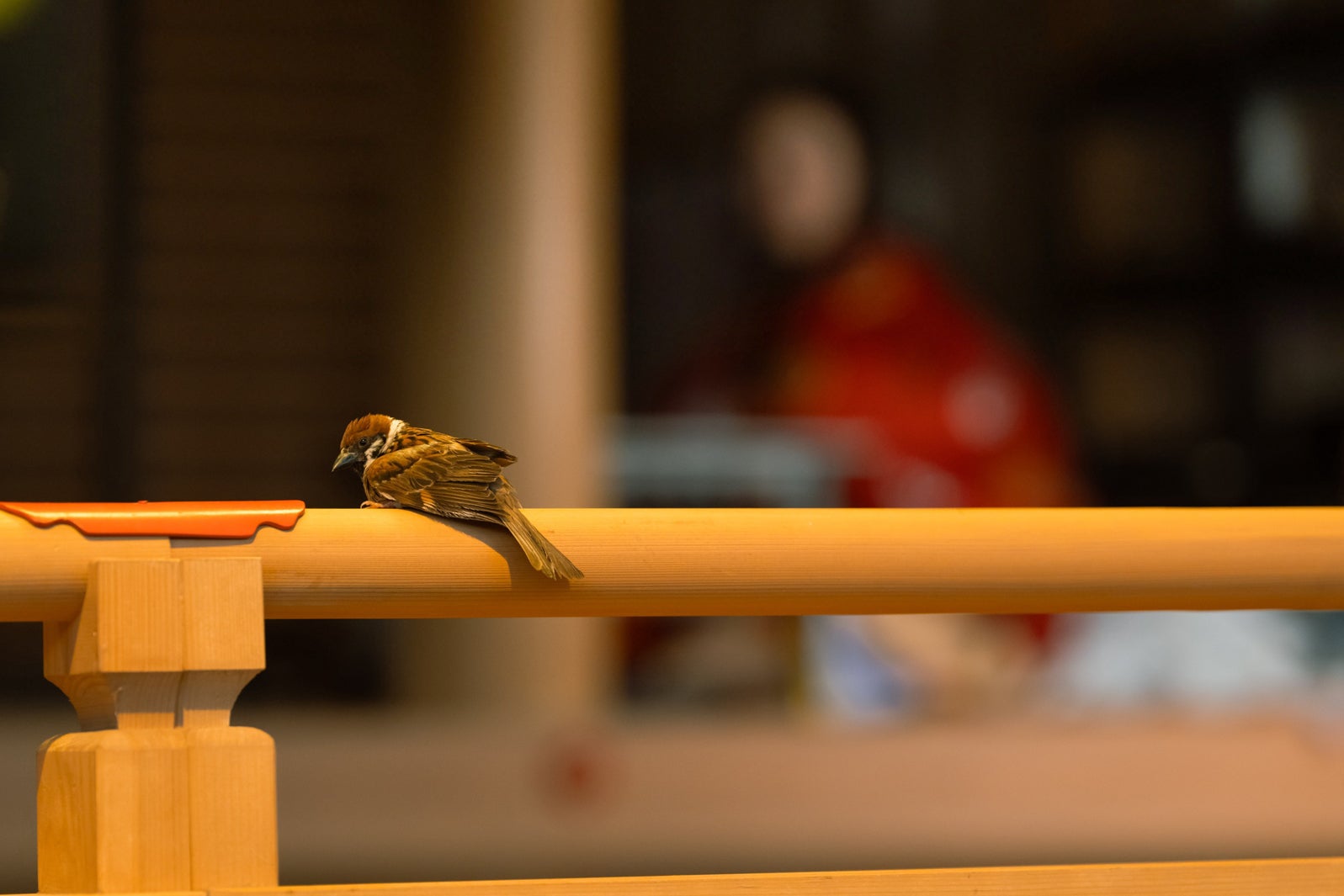 「光る君へ」第34話（C）NHK