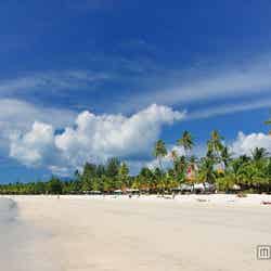 サンゴ礁に囲まれた透明度の高い真っ青な海と白い砂浜のビーチは魅力的