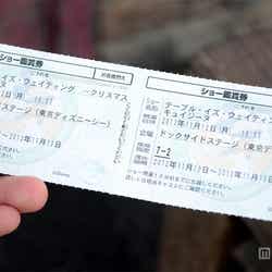 バケーションパッケージのショー鑑賞券