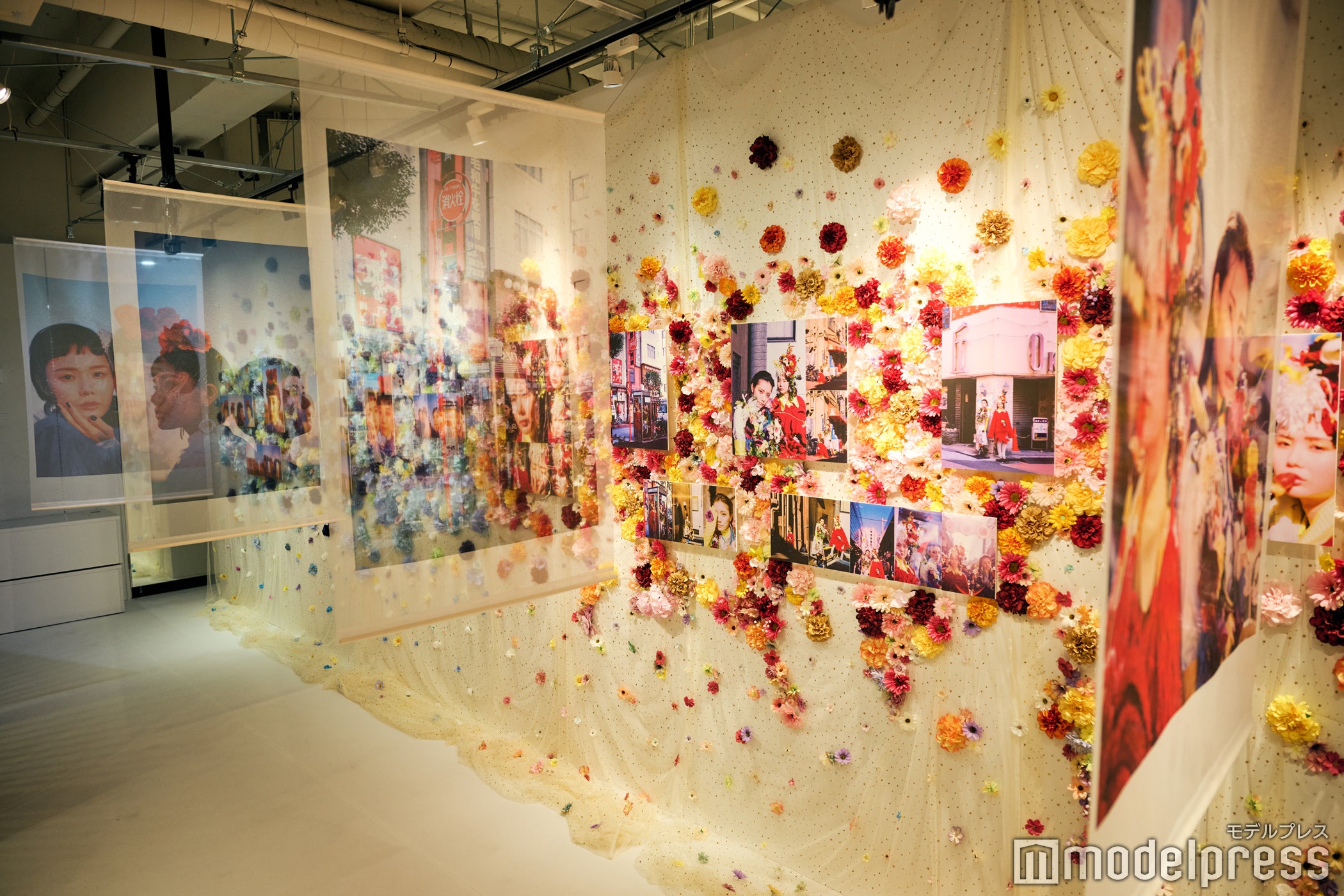 親しみが持てる展示方法に（C）モデルプレス