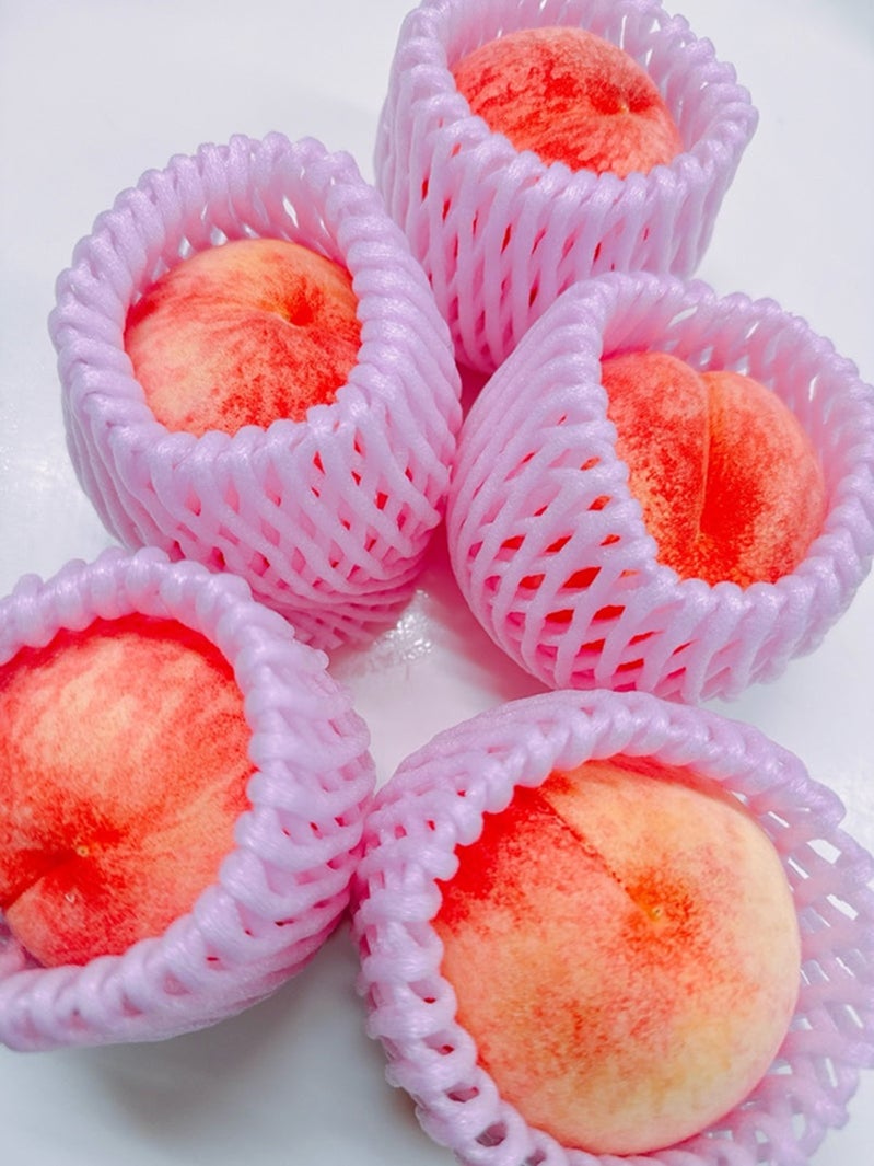 渡辺美奈代オフィシャルブログより