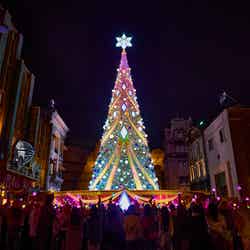 NO LIMIT! パーティ・ツリー/画像提供:ユニバーサル・スタジオ・ジャパン