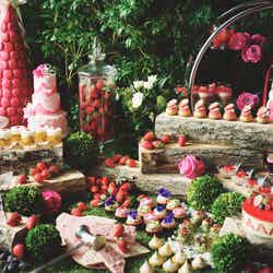 いちごスイーツビュッフェ/画像提供:コンラッド東京