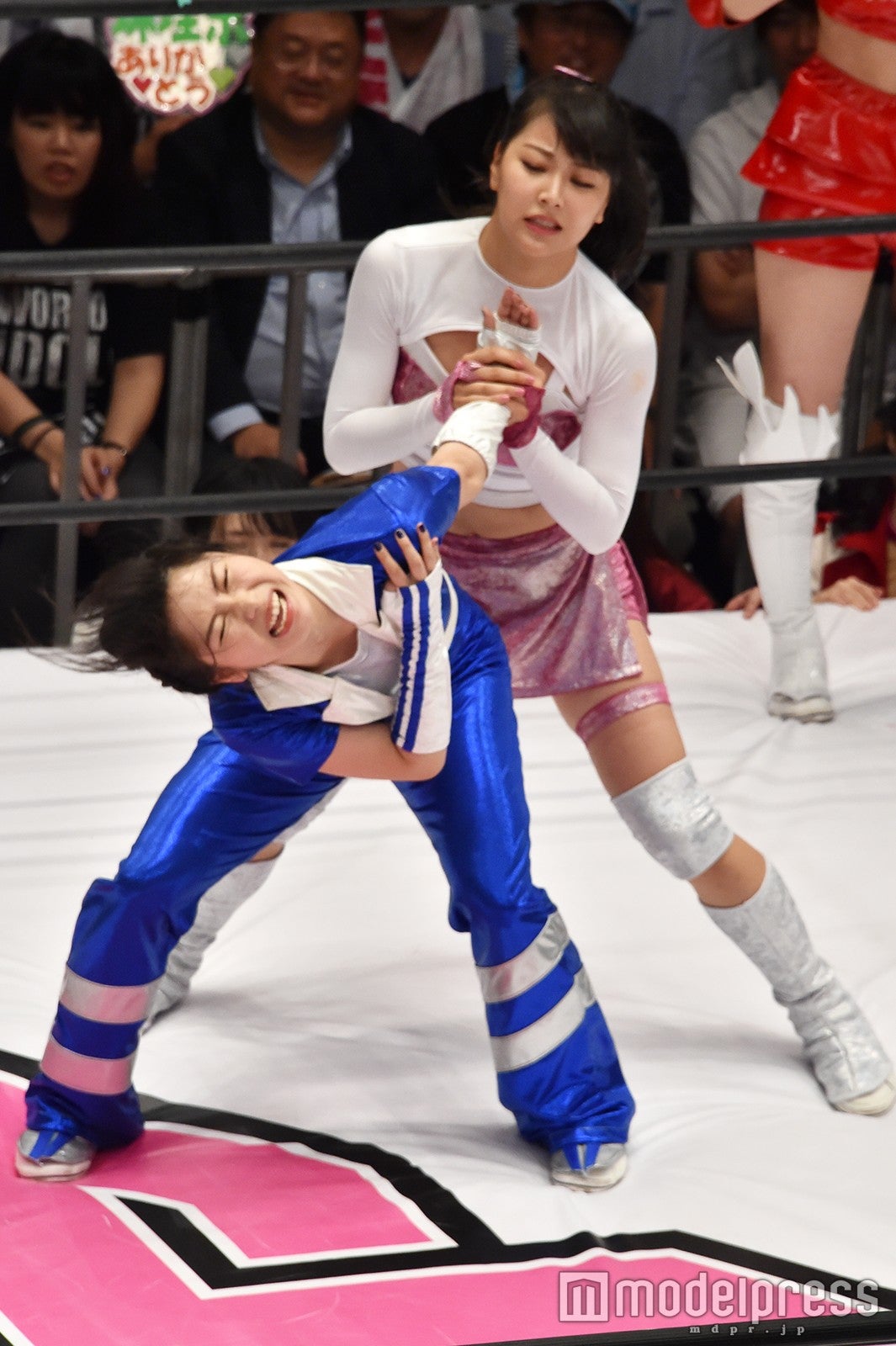 豆腐プロレス The REAL 2017 WIP CLIMAX（C）モデルプレス