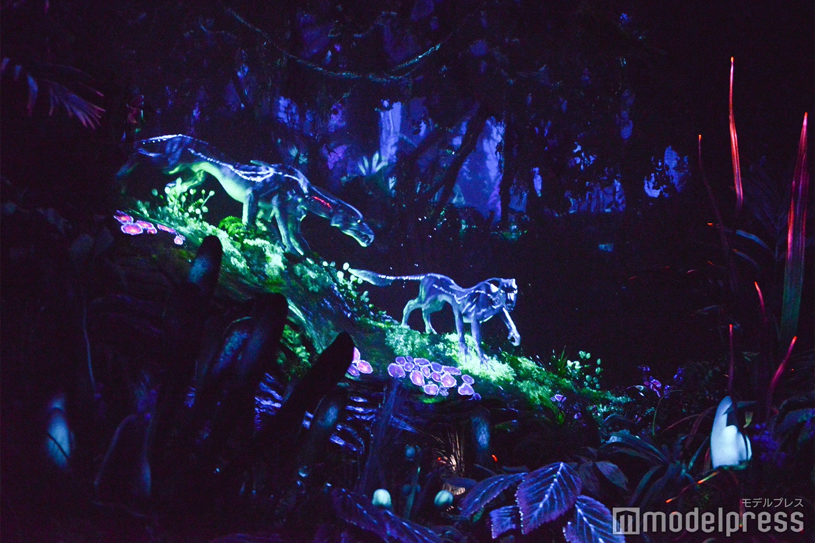 「ナヴィ・リバー・ジャーニー」（C）モデルプレス（C）Fox（C）Disney