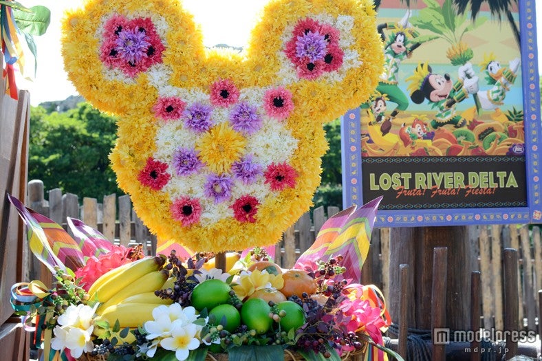 フルーツや花で飾り付けられたデコレーション