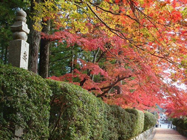 地元の人が教える“穴場”も♡