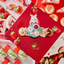 ストロベリーコレクション with シルバニアファミリー(C)EPOCH