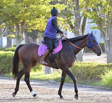 【紫苑S】ドリームコア ノームコアと母娘制覇だ！田中博師、天国の萩原清師へV届ける「わくわくするような活躍を先生に見せられたら」